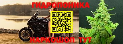 стафф Абинск