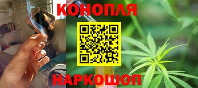 шишки Конаково
